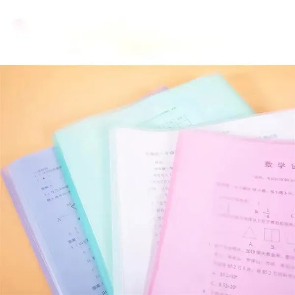 Plastic file bag