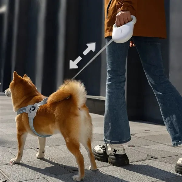 Automatic Retractable Reflective Leash,Outdoor Pet Supplies