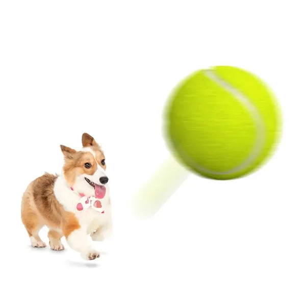 Pet Training Tennis Ball Dog Tennis Balls Pet Toys