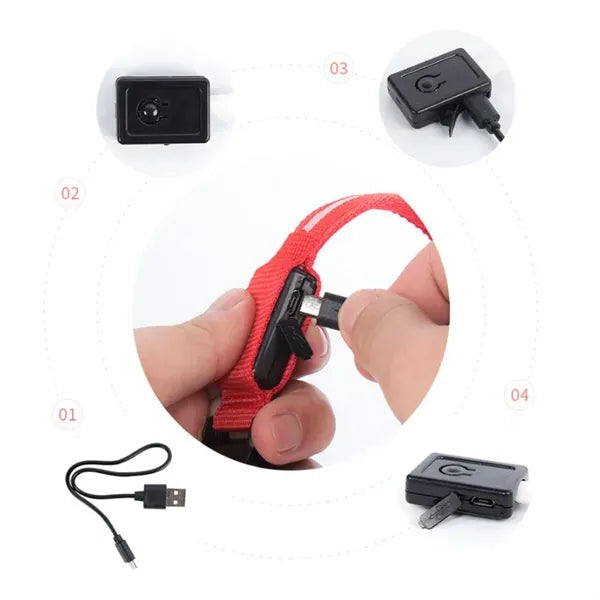 Rechargeable Glowing Pet Safety Collar