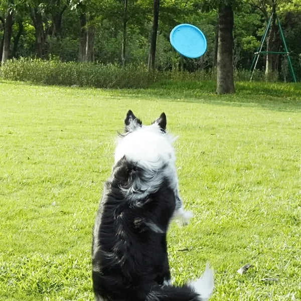 Pet Flying Disc For Dog.