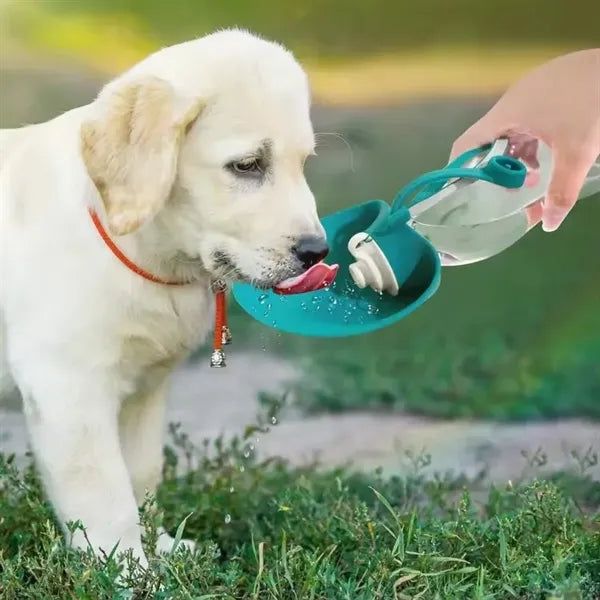 Outdoor Portable Dog Water Bottle