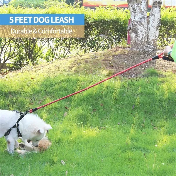 Dog Leash with Comfortable