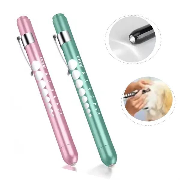 Medical Penlight With Pupil Gauge