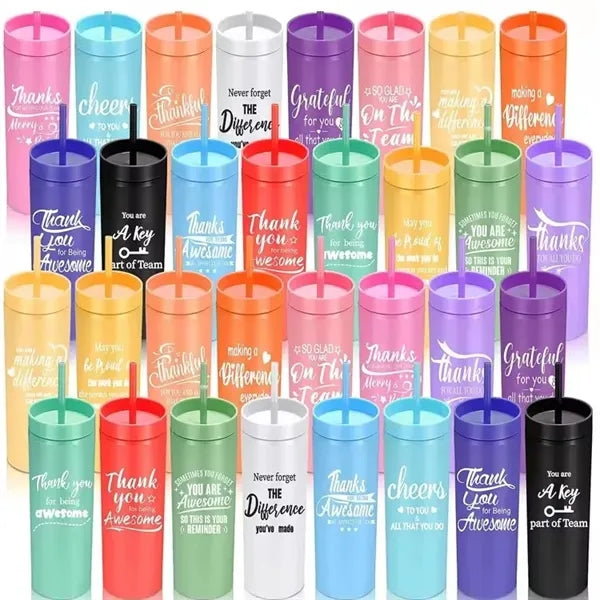 16 Oz Plastic Insulated Skinny Tumbler With Lid And Straw