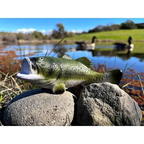 Bass Stress Reliever