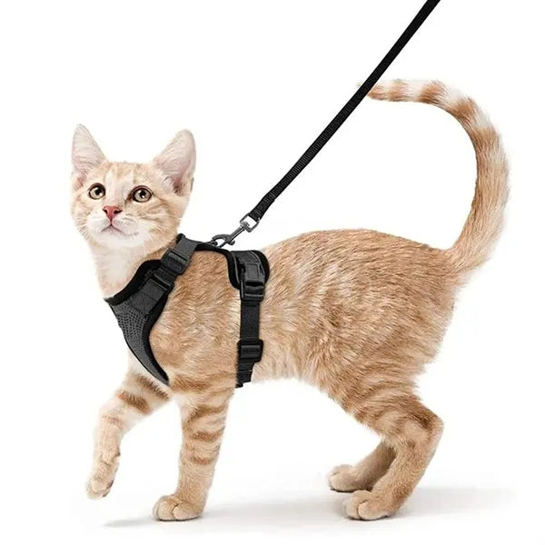 Rabbitgoo Cat Harness Set