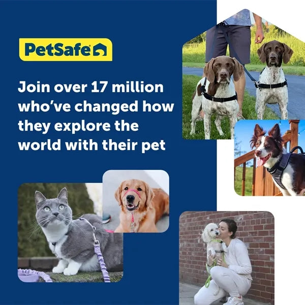 Dog Walking Harness