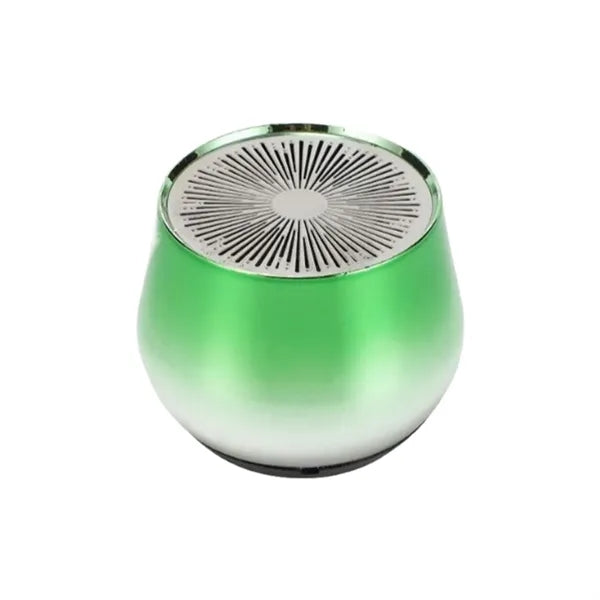 Mini Bluetooth Speaker