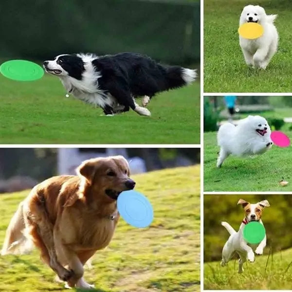 Dog Flying Discs