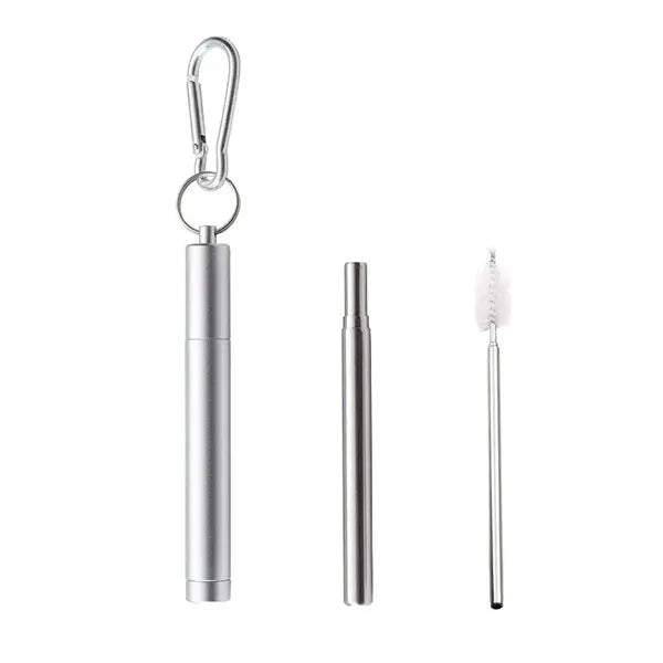 Stainless Steel Straw Set