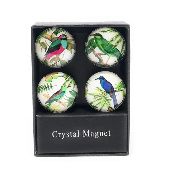 Glass Fridge Magnet Set (Set of 4)
