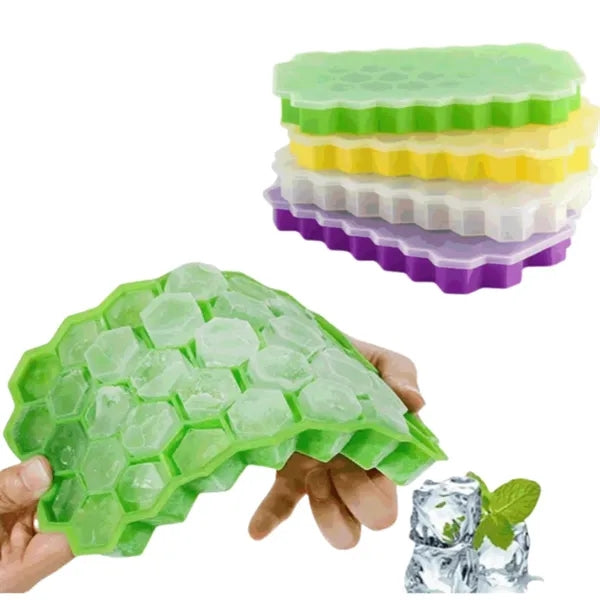 Grid Mold With Removable Ice Tray