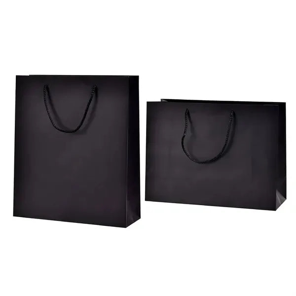 Matte Laminated Paper Shopping Bag