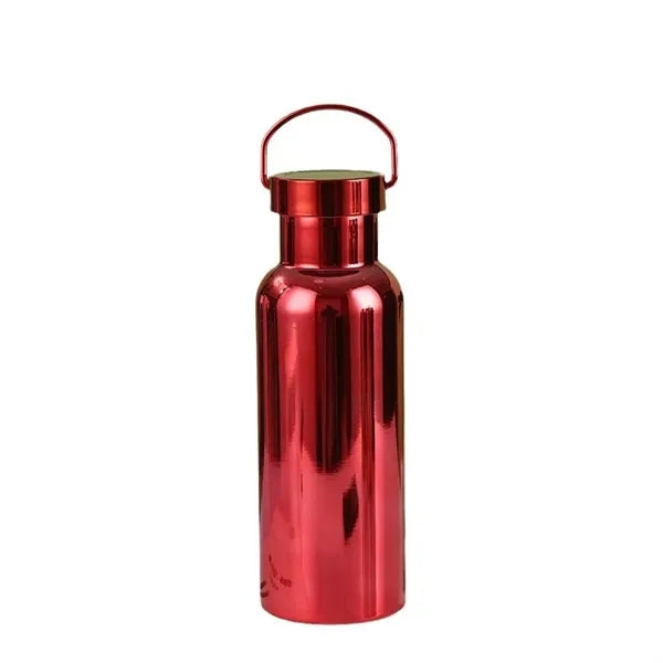 Travel sports metal water bottle with handle lid shining coa