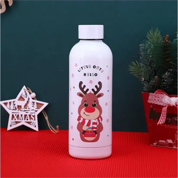 16oz Stainless Steel Insulated Water Bottle