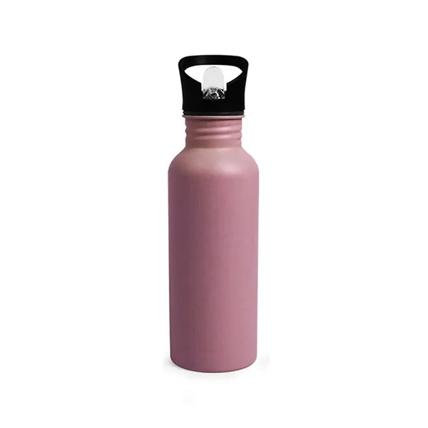 17oz Double-Wall Vacuum Bottle with Loop & Sip Thru Top