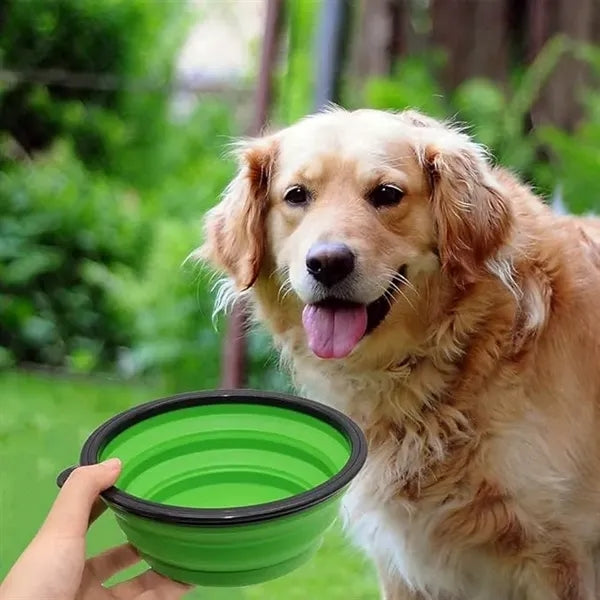 Plastic Pet Collapsible Bowls