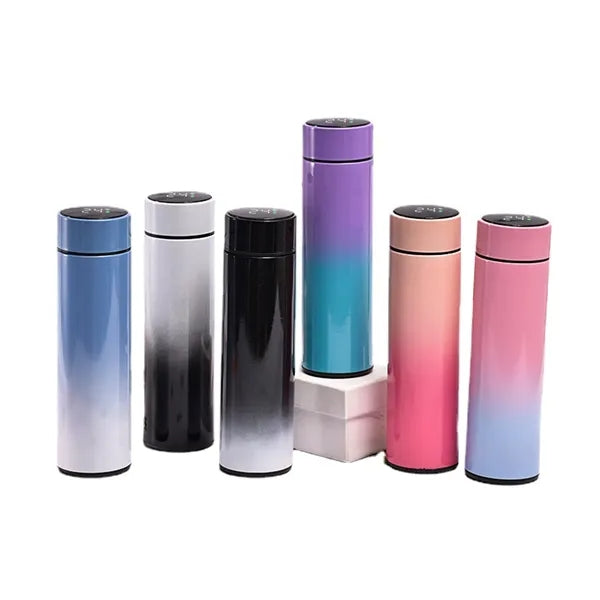 Water Bottles With Digital Temperature Display