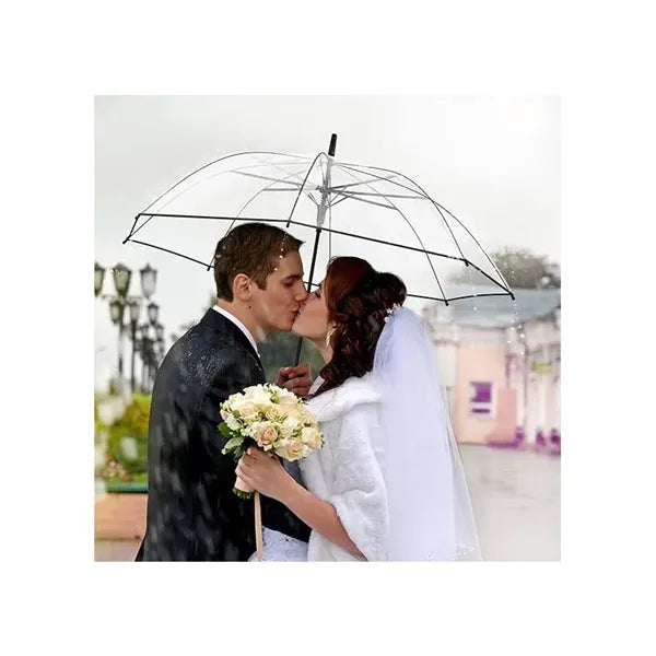 Clear Umbrella