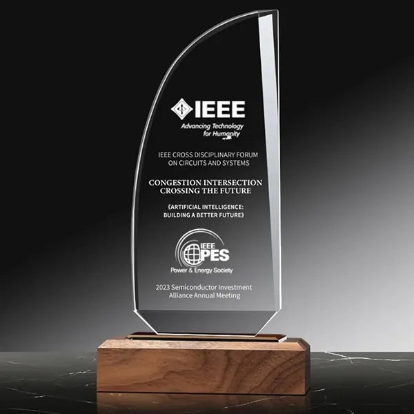 Crystal Glass Trophy Award on Wood Base