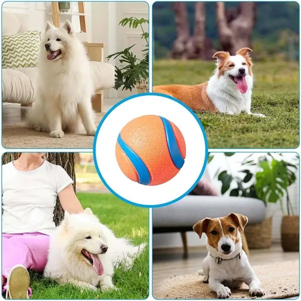Durable Dog Chew Toy Ball