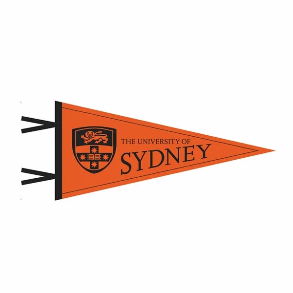 Triangle Sport Felt Banner
