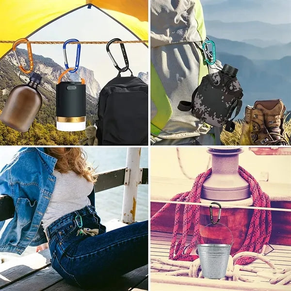 D Ring Shape Carabiner Hook Buckle