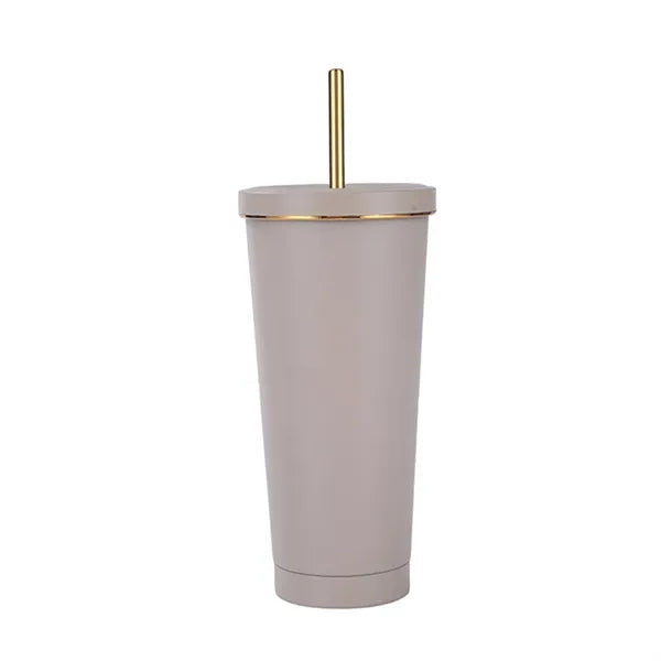 Stainless Steel Vacuum Insulated Tumbler With Straw Lid
