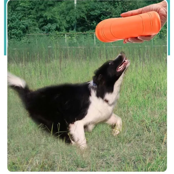 Dog Flying Disc