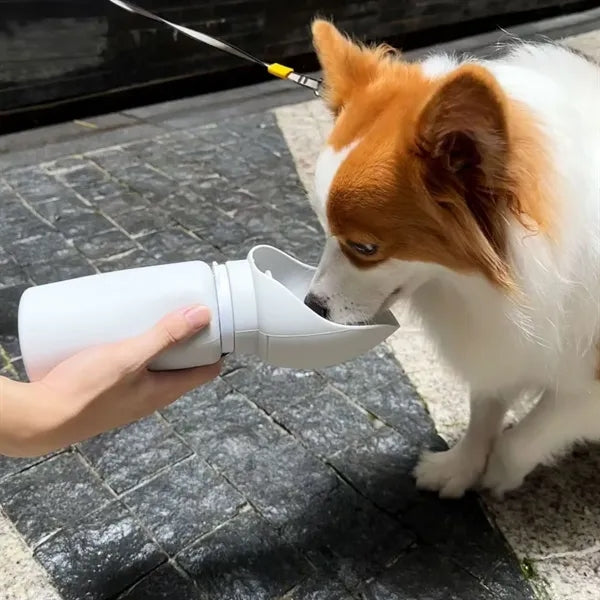 Pet Drinking Water Cup Outdoor Portable Dog Travel Bottle