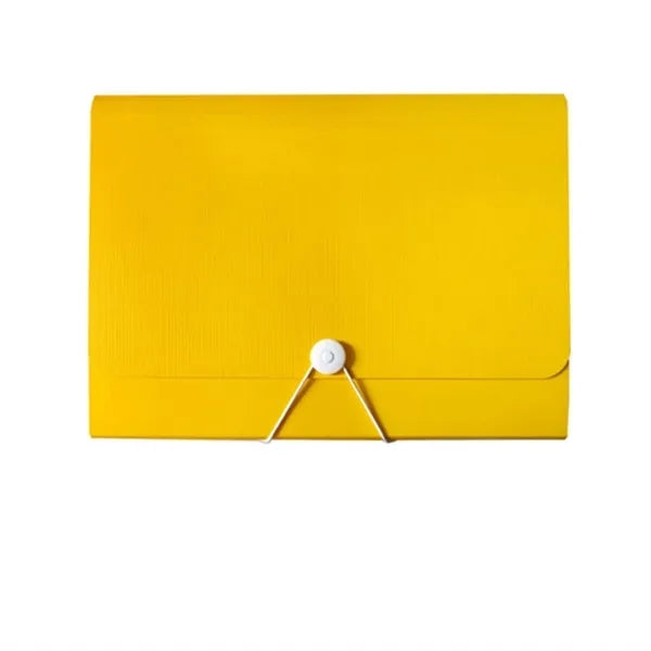 Accordian Organizer File Folder