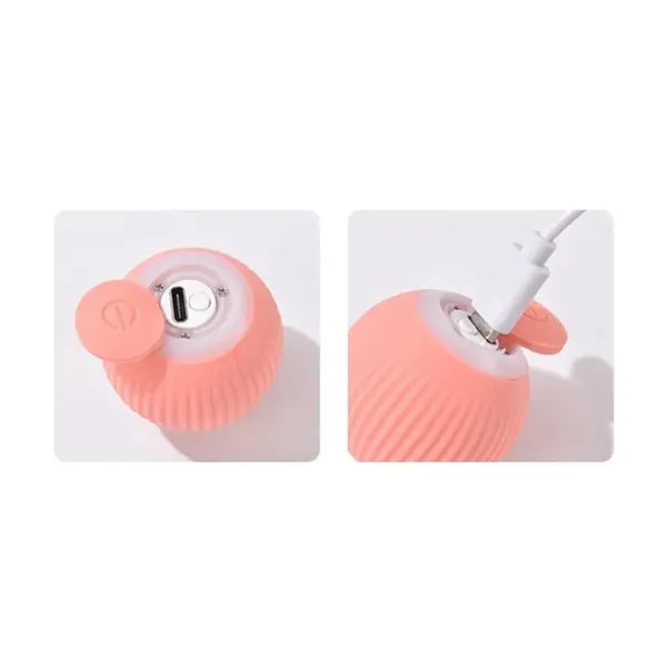 Interactive Cat Ball Toy