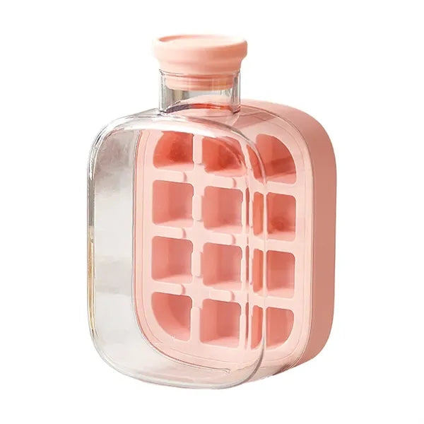 Ice Cube Tray & Water Bottle