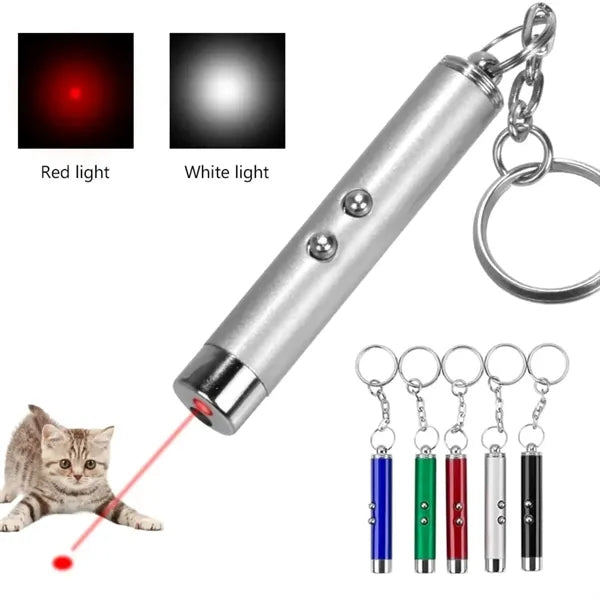 Handheld Laser Keychain for Pets