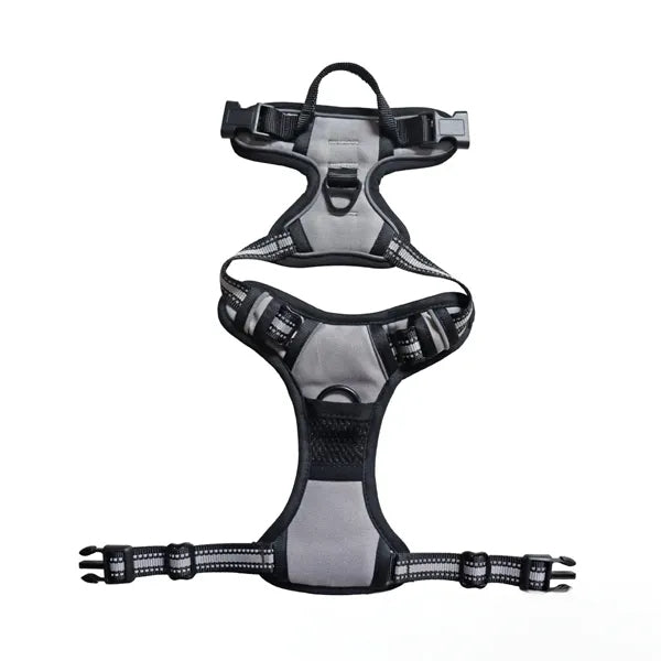 Pet Harness