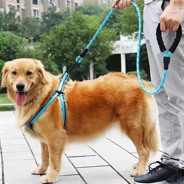Pet Dog Leash