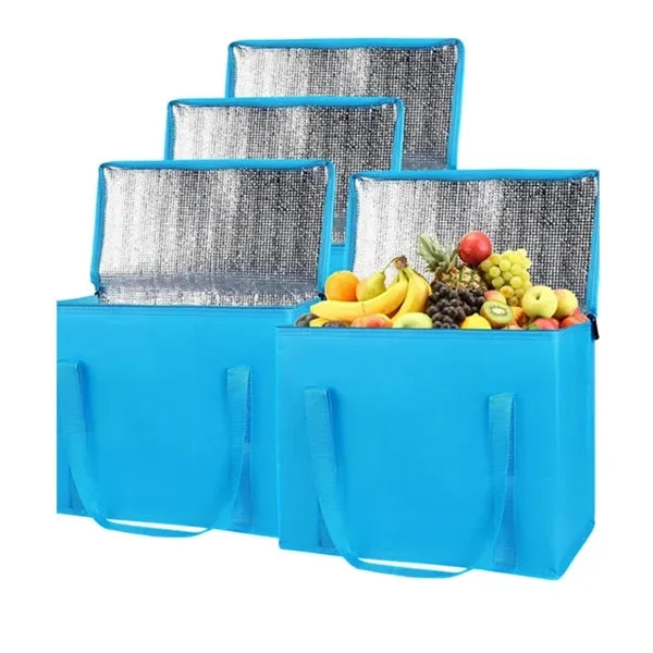 Insulated Food Delivery Bag
