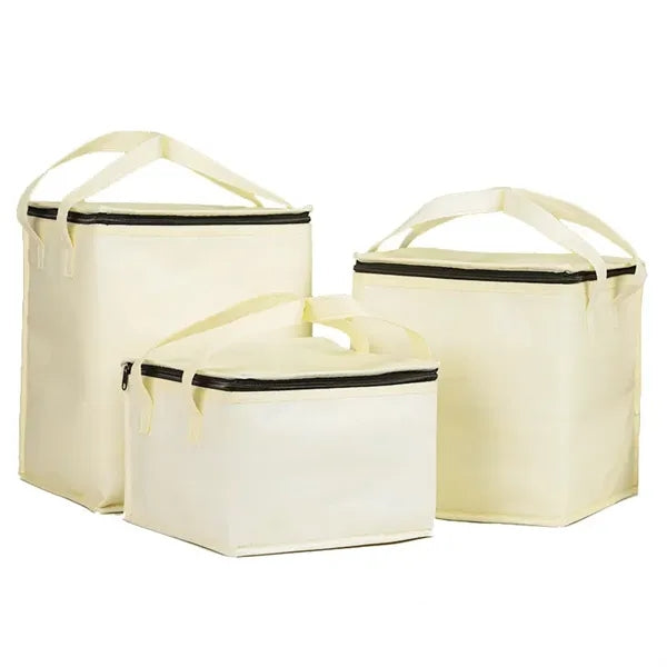 Insulated Food Delivery Bag