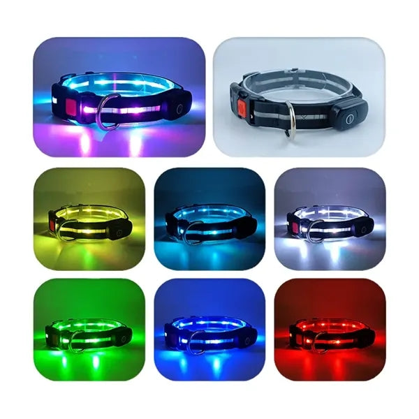 Light Up Dog Collar