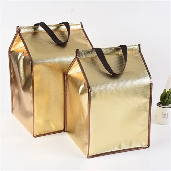 Heavy Duty Insulated Cooler Tote Food Delivery Bags