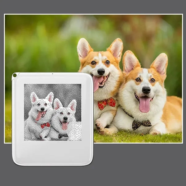 NFC Photo Transmission Display