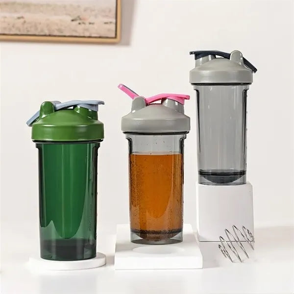 17oz Protein Shaker Bottle with Spring Ball