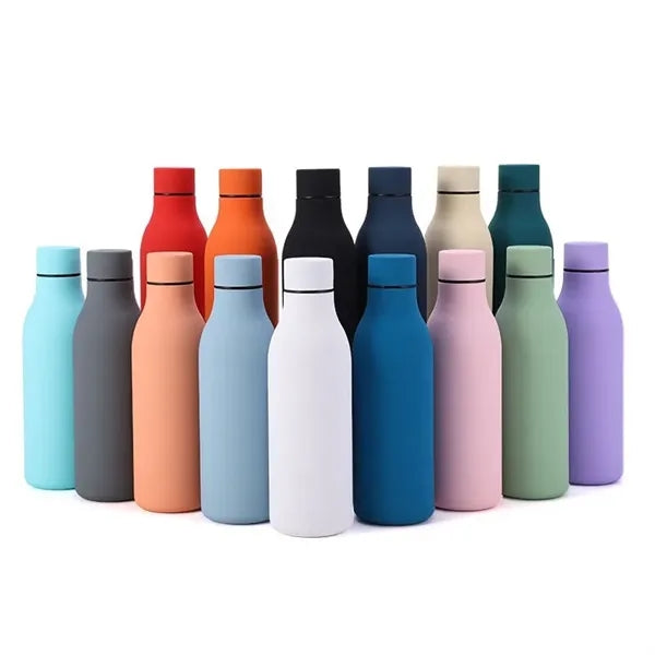Stainless Steel Water Bottle