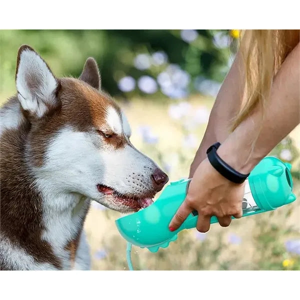 Dog Waterer