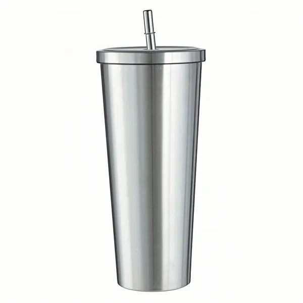 25 oz Stainless Steel Tumbler with Lid and Straw