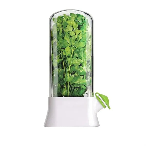 Vegetable Preservation Box
