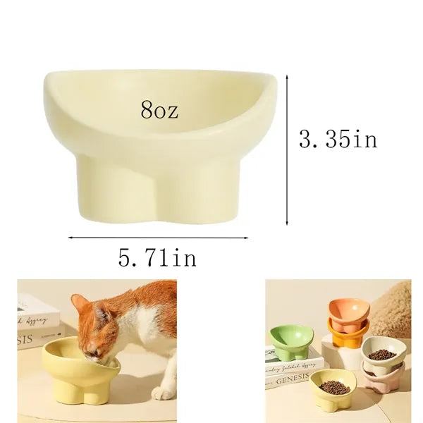Ceramic 15 Degrees Tilt Protects Spine Indoor Cat Bowl