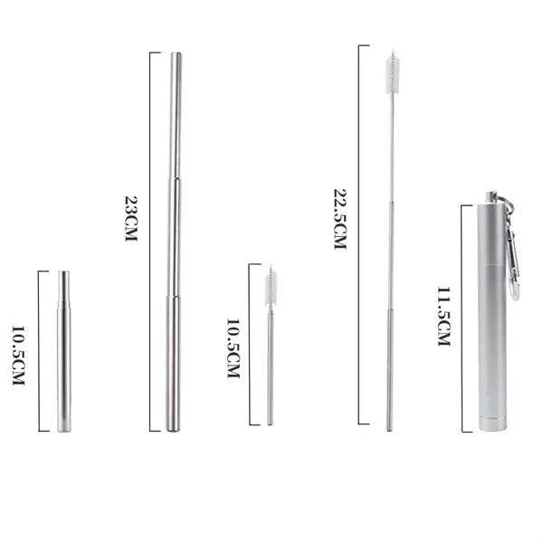 Telescopic Stainless Steel Straw Kit