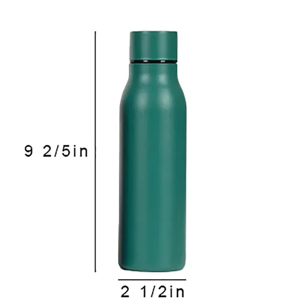 17 oz Double Wall Stainless Steel Water Bottle